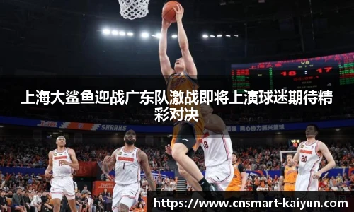 上海大鲨鱼迎战广东队激战即将上演球迷期待精彩对决